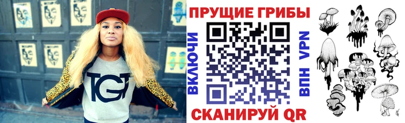 закладка  Лосино-Петровский  Галлюциногенные грибы мухоморы 